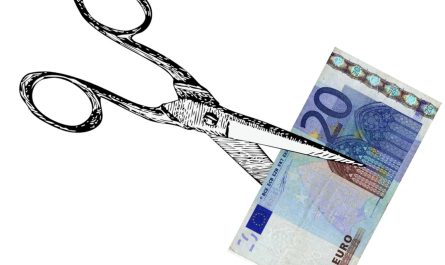 Gestaltungsspielraum dank globaler Minderausgabe Globale Minderausgabe Foto: Mit einer Schere wird ein 20-Euro-Schein beschnitten - Tumisu - pixabay.de - FDP Hohen Neuendorf